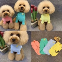 Dog clothes autumn fruit cotton base shirt comfortable small dog Teddy VIP match bear fight Cat Clothes