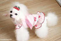 Dog Princess dress Pet dress VIP Shih Tzu dress Bear dress Cat dress Dog cotton dress