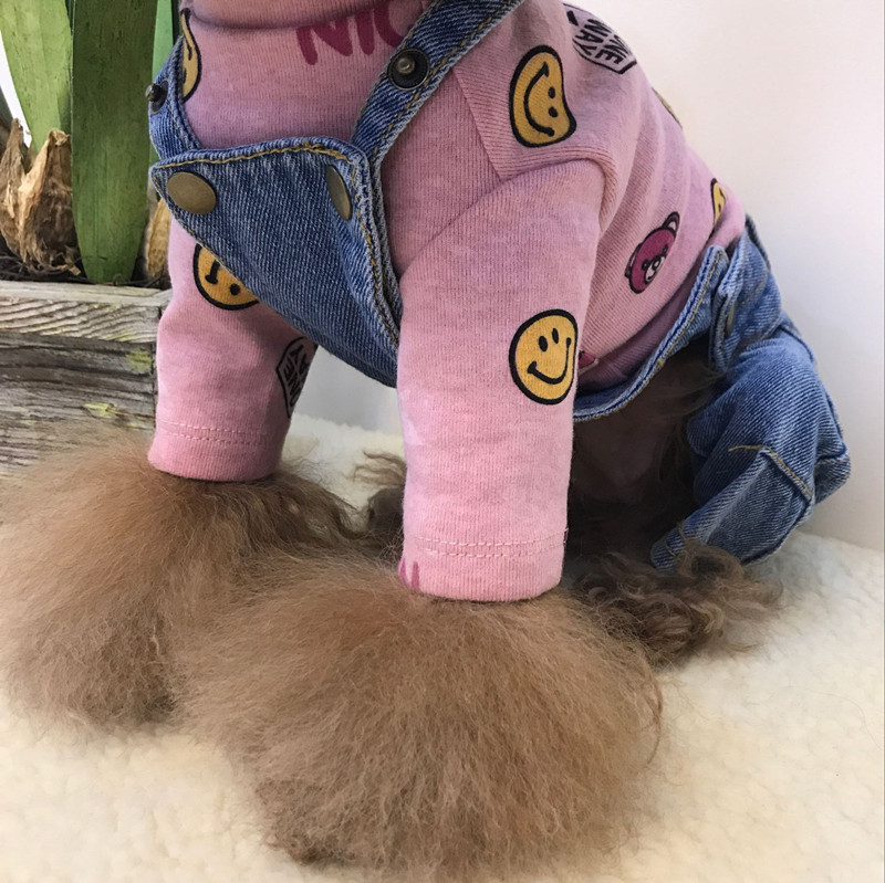 Spring and autumn bottoming T-shirt all-match embroidered high-neck ribbed long-sleeved dog bottoming with Teddy puppy clothes