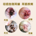Tai chó nhỏ tai Dầu tai chó pet tai chó viêm tai làm sạch khử mùi hiệu quả tai mèo - Cat / Dog Medical Supplies Dụng cụ thú y Hà Nội Cat / Dog Medical Supplies