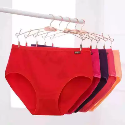 4-piece waist solid color cotton women's underwear festive big red belly body breifs