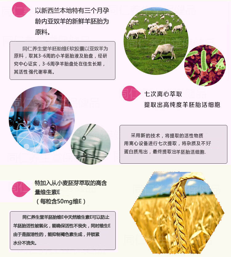 Tongren Yangshengtang Cừu phôi Wei E Sheep Pl Nhaua Viên nang mềm Phụ nữ chính hãng Úc New Zealand Sản phẩm y tế Thụy Sĩ - Thực phẩm dinh dưỡng trong nước thực phẩm chức năng cho người già