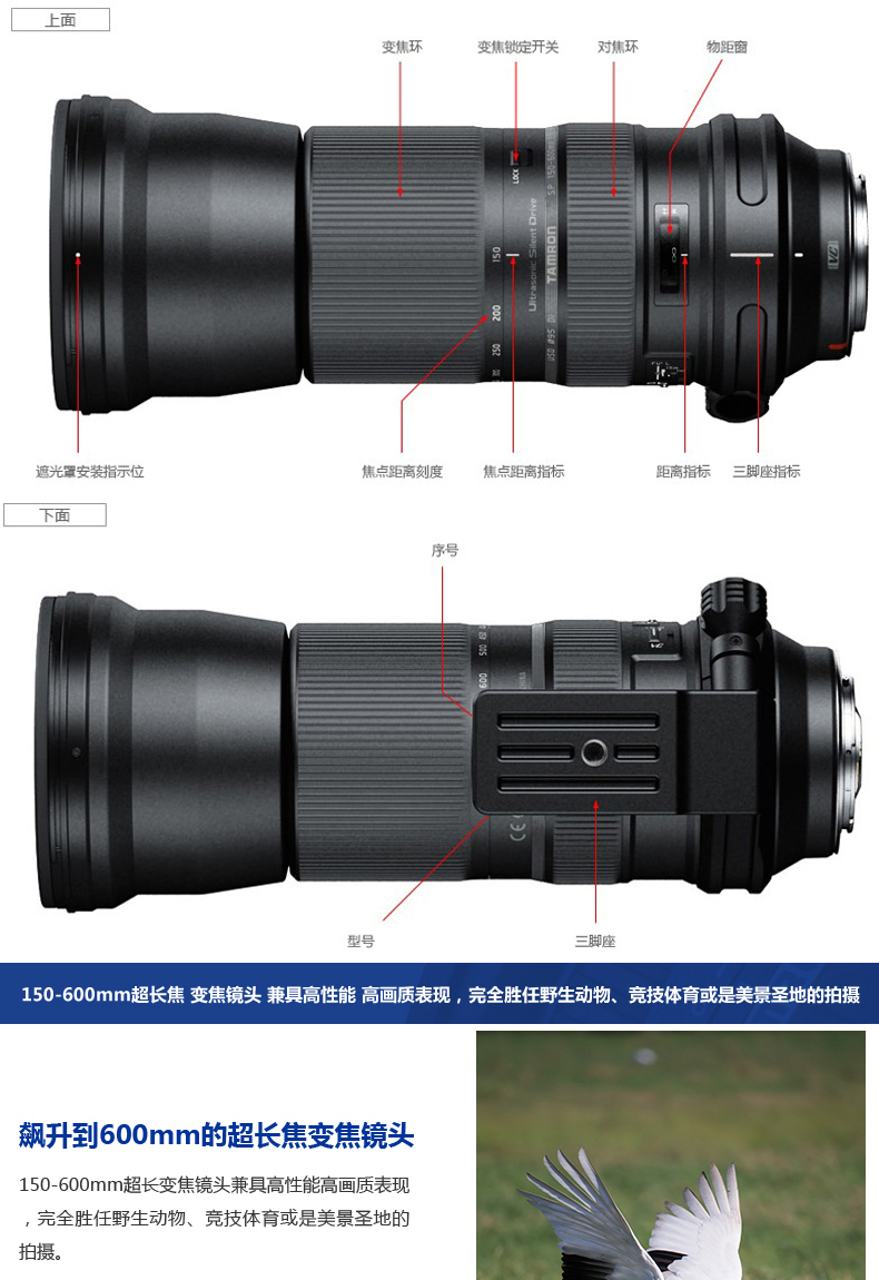 Tamron 150-600mm A011 VC siêu rung tele chim chụp tháng ống kính Canon Canon