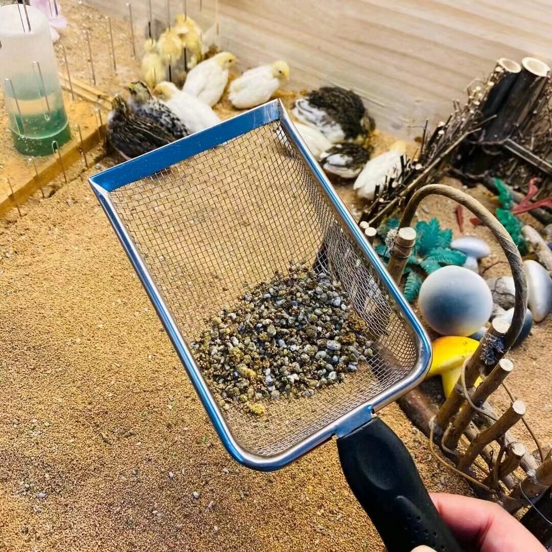 Walnut sandy shovel walnut sand sieve Stainless Steel Luding Chicken Manure Clean Special Tool Shover Fine Mesh-Taobao