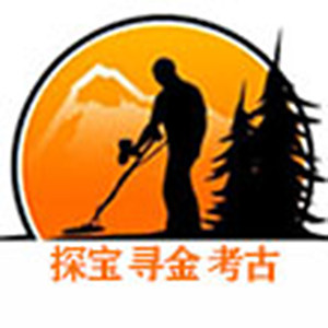 美国金属探测器