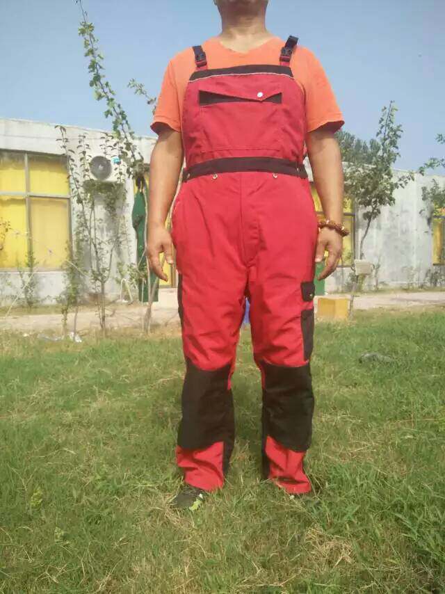 Training to hold baby bag Pants Training Dog Supplies Paracetamol Workdog Special Dog Training