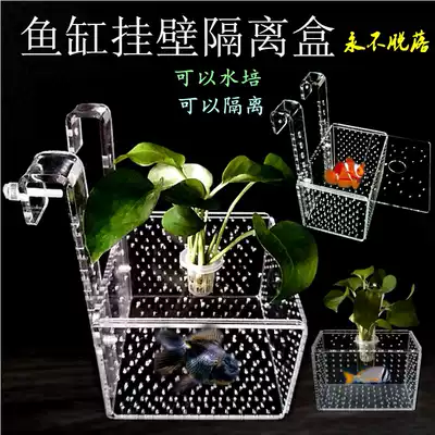 Fish tank acrylic hook filter box Small fish protection box suspended size peacock betta fry incubation