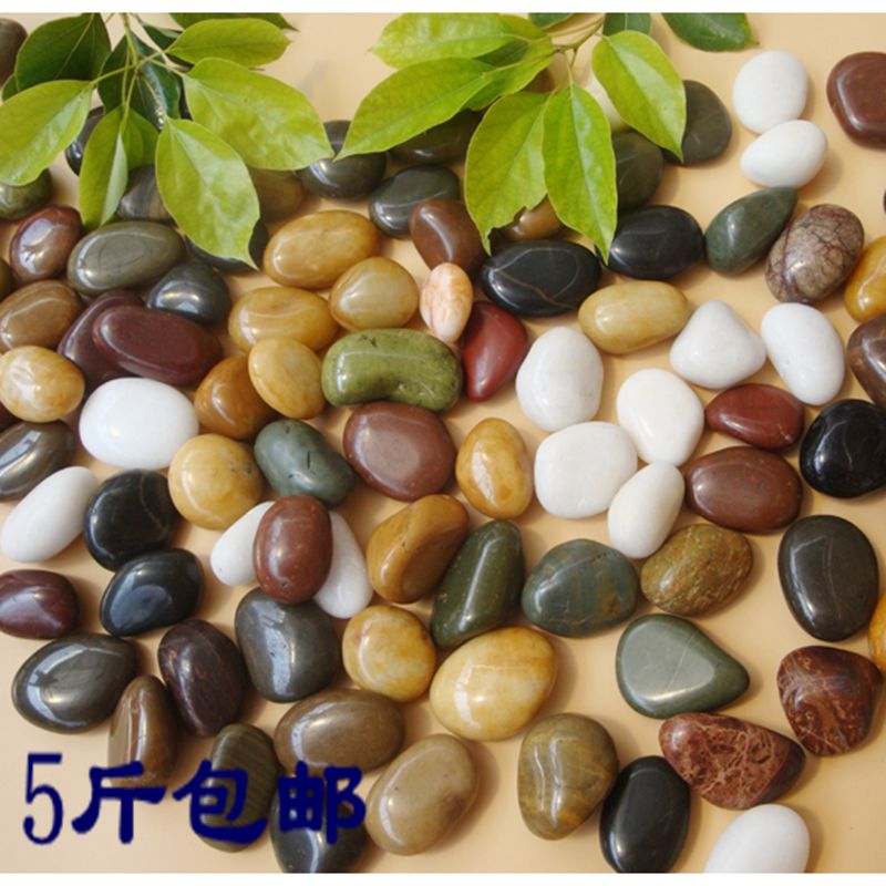 Pebble rain flower stone natural small stone fish tank flower pot decoration potted landscaping gardening color stone 5 catties