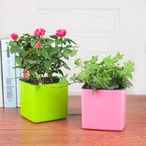 Lazy flowerpot square New PP resin plastic water-free self-absorbent flowerpot large medium and small automatic absorbent Basin