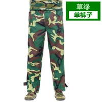 Трава зеленый [одиночные штаны]