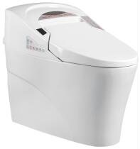 Toilet installation smart toilet installation toilet installation service toilet smart cover installation Wall toilet