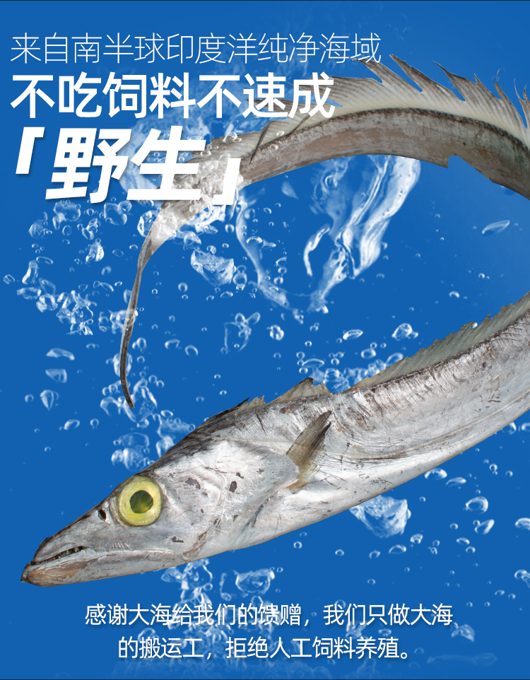 野生宽带鱼段新鲜带鱼1000g深海中段特级