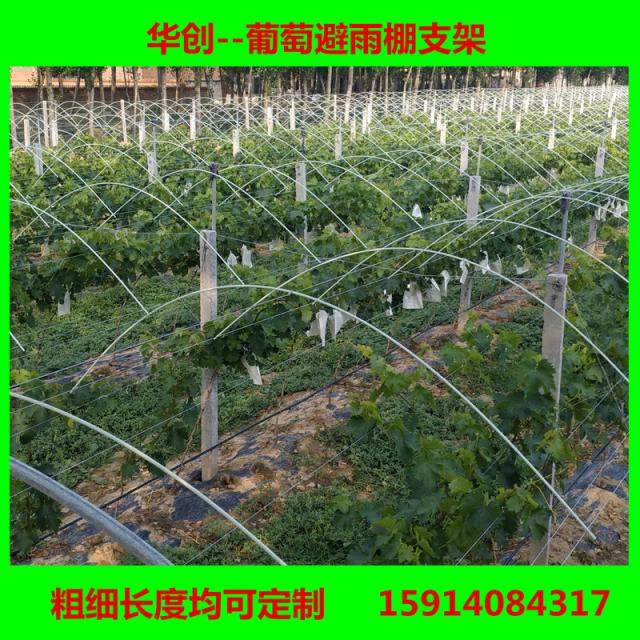 7mm diameter fibreglass rod instead of old-style bamboo sheet grape-avoiding canopy bracket length customizable