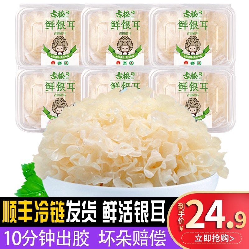 Gu Song Fujian specialty Gutian fresh silver fungus Non-dry snow fungus ugly ear White wood silver fungus Lotus seed soup 6 600g
