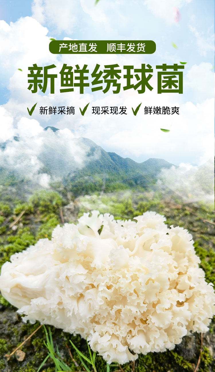 古松 新鲜绣球菌 干巴菌 500g装 天猫优惠券折后¥29.9包邮(¥39.9-10) 古松 新鲜绣球菌 干巴菌 500g装 天猫优惠券折后¥29.9包邮(¥39.9-10)