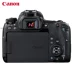 Bộ sản phẩm Canon EOS 77D 18-55 stm được cấp phép chính hãng Máy ảnh Canon 77D 18-135 USM - SLR kỹ thuật số chuyên nghiệp SLR kỹ thuật số chuyên nghiệp