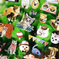 Korea sonia sticker cute Kitty hand account material ins girl heart mobile phone decoration sticker