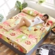 Giường nhung dày Fale đơn mảnh mặt bích mùa đông san hô nhung ấm giường trải giường Simmons nệm bọc ga chun trải giường	