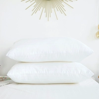 Отдельная белая подушка (исключая рукав с подушкой) один