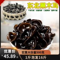 Northeast black fungus small Bowl ear dry meat thick rootless authentic northeast specialty autumn fungus 500g new goods