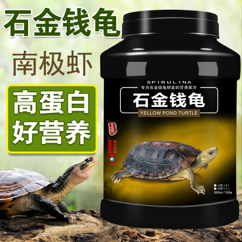 Turtle food stone money turtle turtle feed stone money stone turtle Southern stone turtle musk yellow-throated money turtle turtle feed turtle material