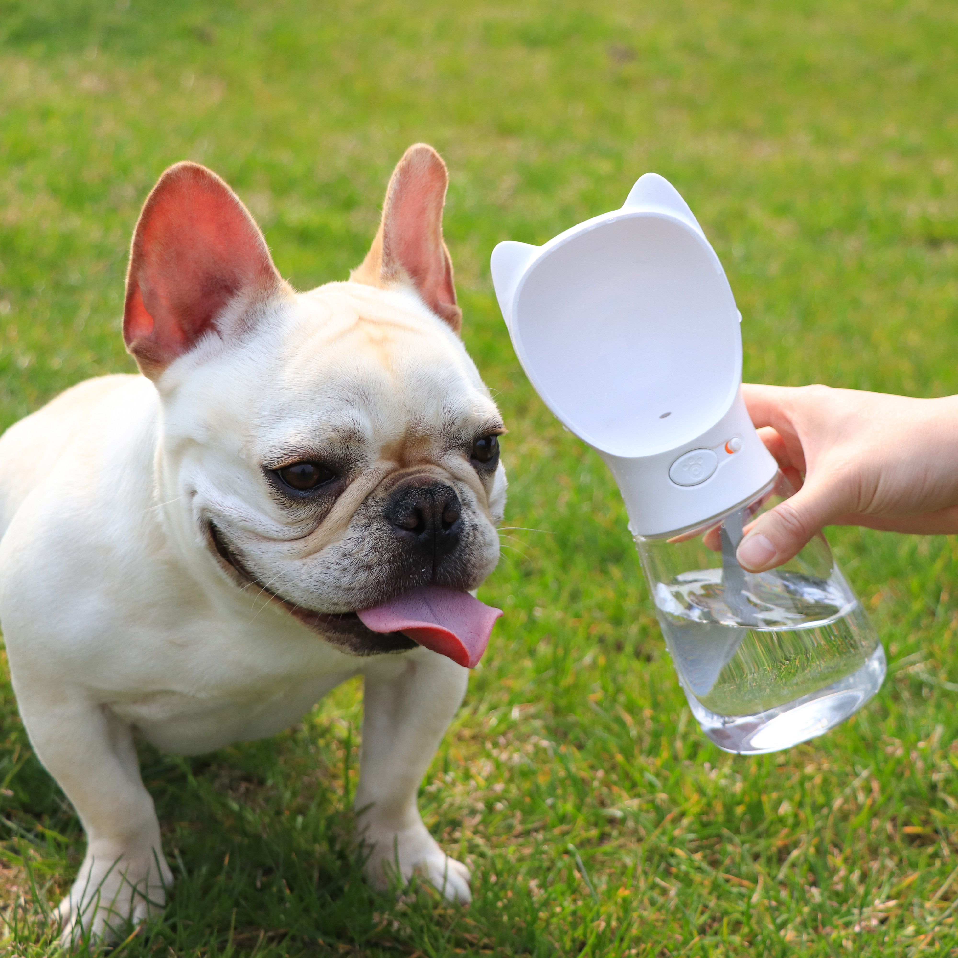 Pet Dog Walking Cup Out Cup Water Drinker Fighter Bear Colki Dog Portable Water