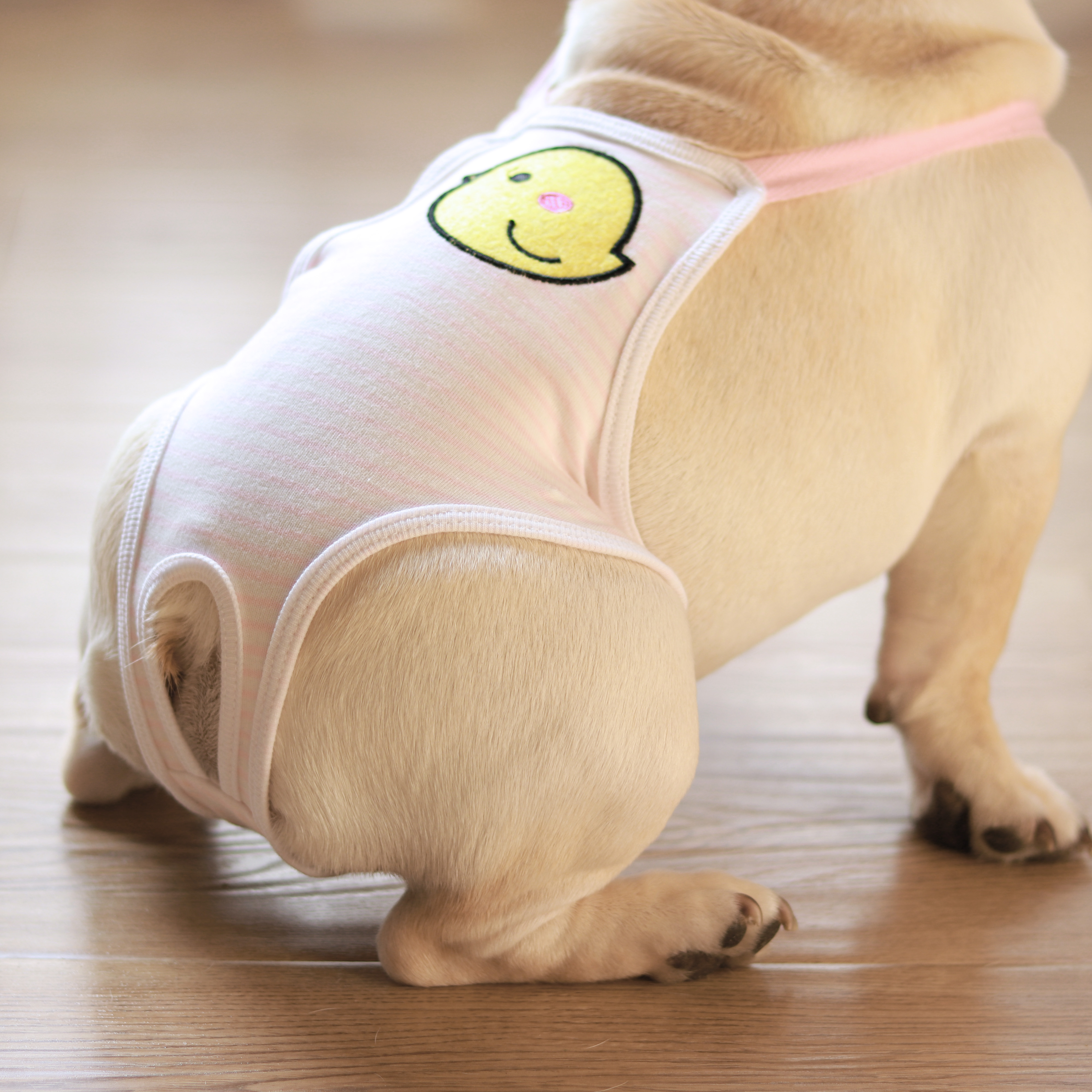 Fardou Physiology Pants Bago Dogs Infighting Special Dogs Physiognomic Pants Menstrual Routine Fake Pets Aunt Cuddling Bag Breathable