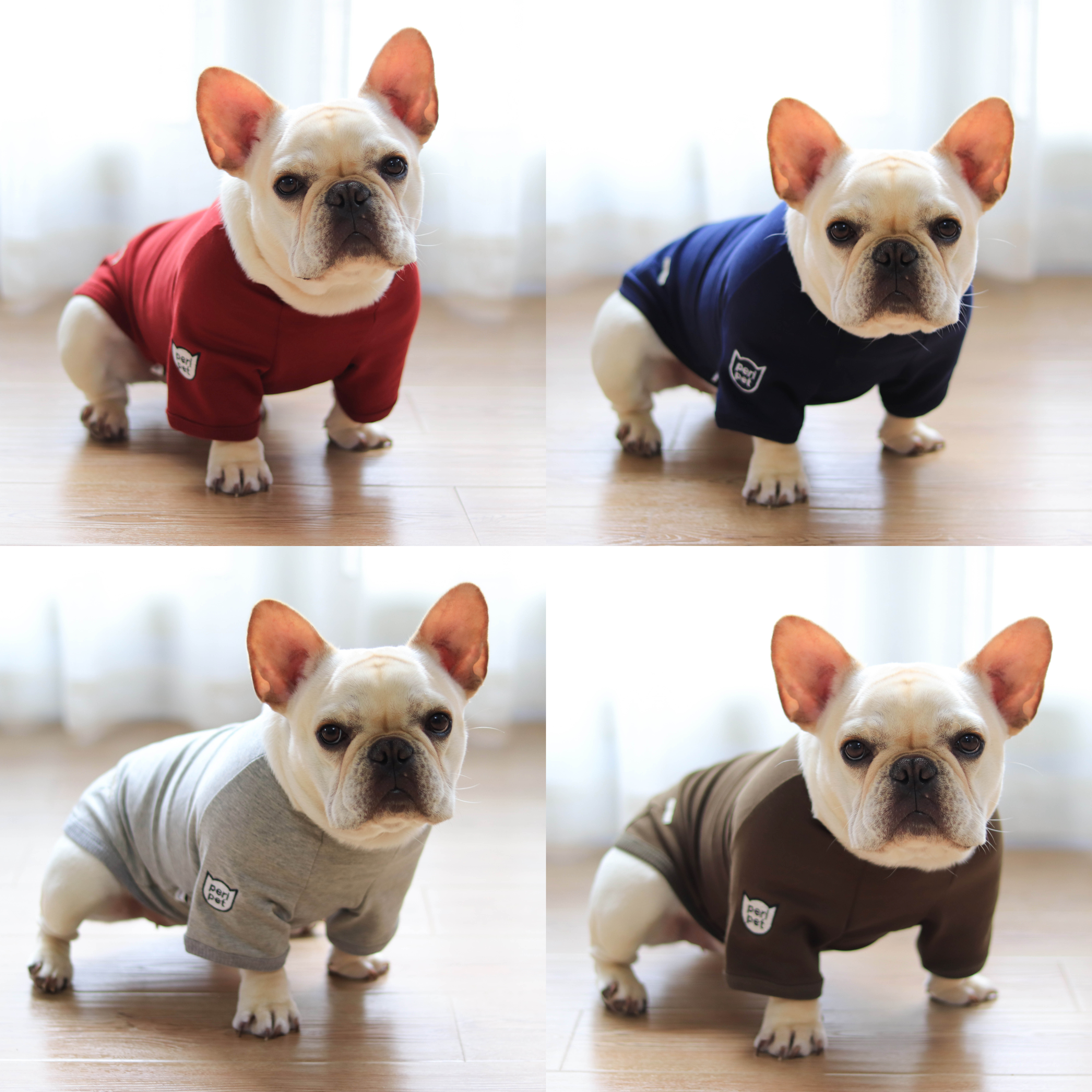 Fadou Clothing Dog Spring and Summer Thin Small and Medium Dog Vest Bago Beer Teddy Inn Cocky Dog Clothes