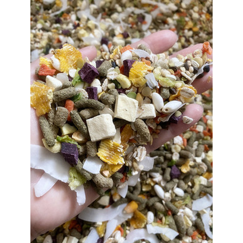 Over 38 Xiaoxuan's nutrition self-preparation grain hamster staple food suitable for parents-in-law third-line first-line hamster 400G