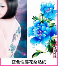 Extension cheveux - Chignon - Ref 235355 Image 19