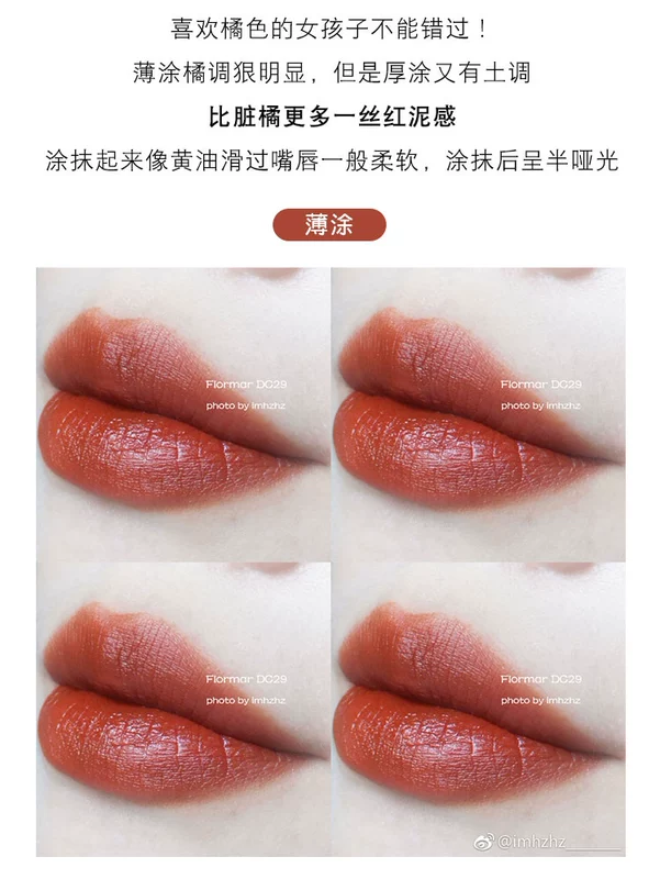 Thổ Nhĩ Kỳ Flormar Lipstick DC29 Dirty Orange Pumpkin Ăn Earth Color 208 Black Tube Matte Matte Velvet Lipstick - Son môi