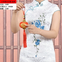 MD Small Sequin Print