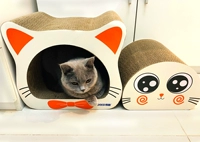 Большой глаз кошка 2