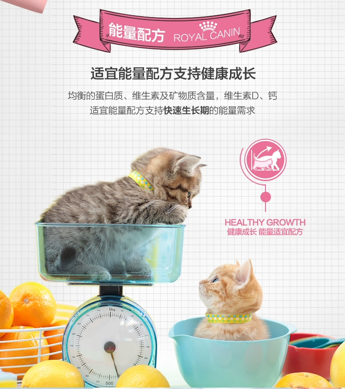 Royal Cat Food Cat Cat Food Cat Food Pet Food Cat Food Cat Thức ăn chính K36 / 0.4KG mua thuc an cho meo