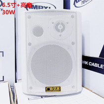 Guangxin Airbus KD-716B supermarket school meeting tweeter speaker amplifier background music wall mounted Audio
