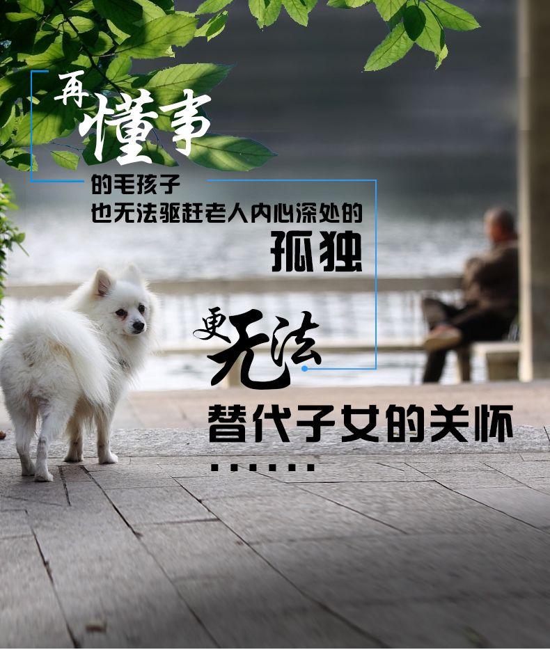 máy nghe nhạc PANDA / Panda T-02 thẻ sạc vô tuyến toàn băng cầm tay fm phát sóng bán dẫn người cao tuổi Máy nghe nhạc MP3 máy nghe nhạc bên ngoài món quà uốn cong tập thể dục buổi sáng dành cho người già - Máy nghe nhạc mp3