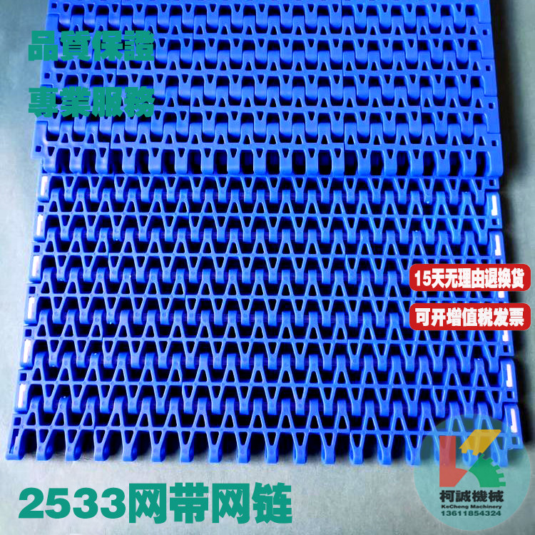 25 4 pitch flat grid plastic mesh belt mesh chain PP POM material 2533 modular mesh belt conveyor mesh belt machine
