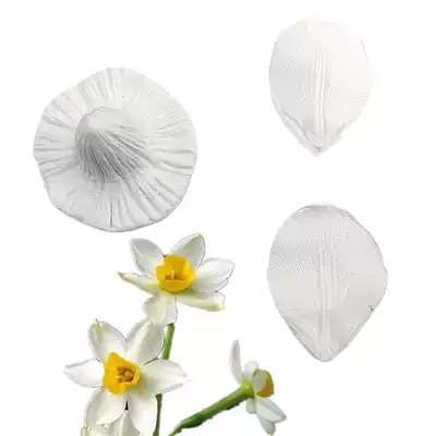 New product daffodil petals simulation British fondant flower texture silicone mold Dry pace stamper bread mosaic mold