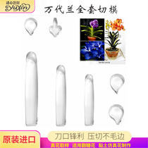 Turned sugar petal stainless steel press cut mold Wanderland Import emulated Cold Porcelain Clay Baking Cake Decoration