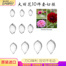 Turning Sugar Big Liquet Stainless Steel Cut die-pressing Mould Sharper Import British emulated cake Decorative Cold Porcelain Clay