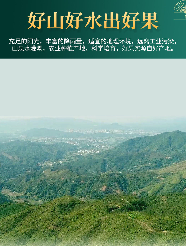 农夫山庄 脆爽青梅果干 500g大瓶装 图3