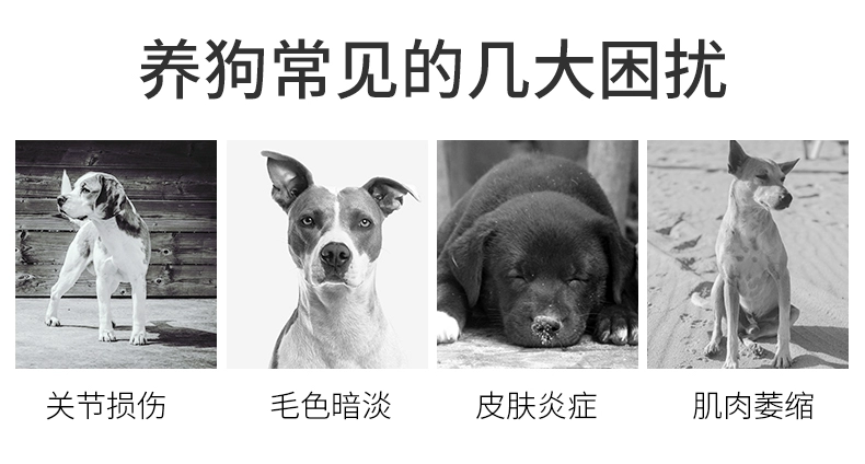 Meatyway dog ​​chủ yếu thực phẩm giá đầy đủ thức ăn cho chó trưởng thành lông vàng phổ quát thử nghiệm thức ăn cho chó 100g