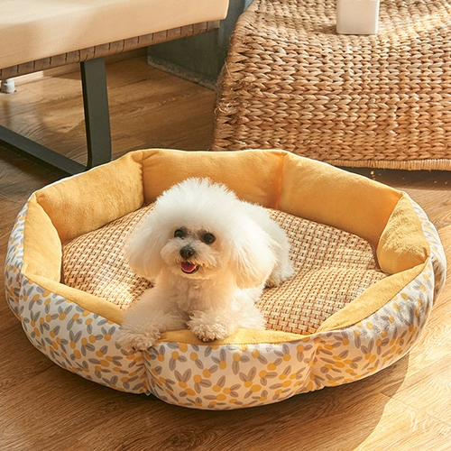 Gouwn Four Seasons General Teddy Bear Bear Bear маленькая собака Gou Red Dog Loge Winter Cat Cat Dog Cushion Pelt