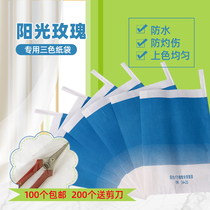 Three-color bag Sunshine rose grape bag Special paper bag bag Fruit protection bag Bird-proof insect-proof waterproof lotus fog