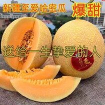 Чтобы полюбить Химеагуа Синьцзян Хангпи (Huangpi Melon Zhenzzong Turpan) выпустил Crisp sweet 520 чтобы отправить свою девушку на подарки его матери и папы