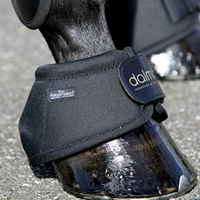 Horseware-Dalmar Hi Hollying Hollying Holbodia Equel Equipment 8210030