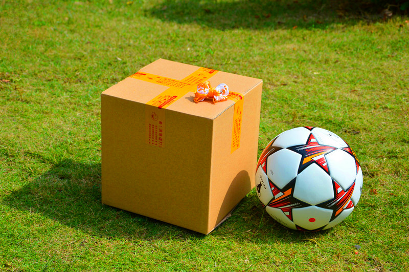 Ballon de football - Ref 7606 Image 22