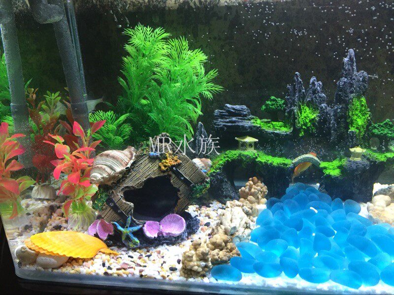 imagelock:3;k:r;s:GfayGM9/0s/gsmIE8h09Q0TptEapYOyzGq3r2lwXV02uxzDhpY+jcqWyEnvCDZppARkB2sV5qHvN5ZOlO6DmuO6+VP9EE2sJi35ZH/Qej4Y/nZgnwcRaBvxEIXQFkaba