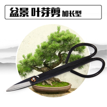 Bonsai bonsai extended professional scissors Leaf bud shears Tree bud shears Horticultural twig shears Advanced pruning tools Ball joint shears