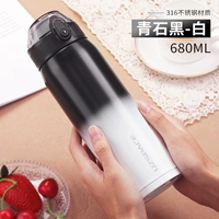 4202 Bluestone Black-White-680ML